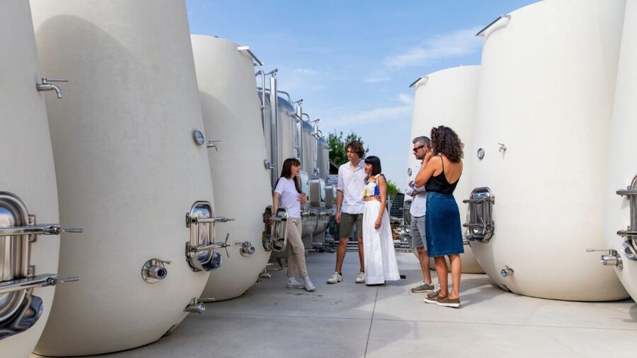 Valdobbiadene:Prosecco tasting,appetizers,winery & vineyard - Key points at a glance