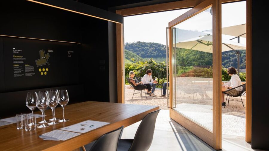Valdobbiadene:Prosecco tasting,appetizers,winery & vineyard - Why Cartizze makes this tasting different