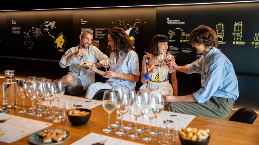 Valdobbiadene:Prosecco tasting,appetizers,winery & vineyard - The viewpoint and the Prosecco hills
