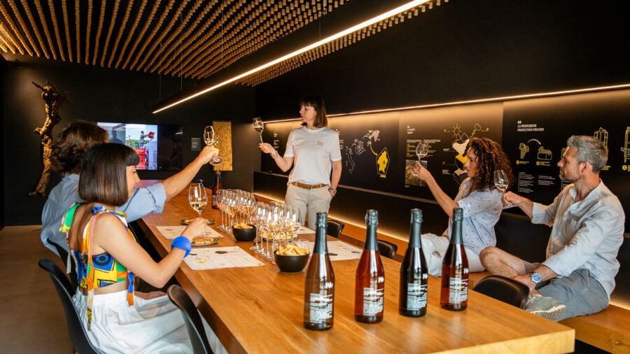 Valdobbiadene:Prosecco tasting,appetizers,winery & vineyard - Should you book PDC Cartizze?