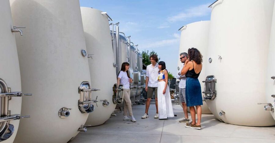 Valdobbiadene:Prosecco tasting,appetizers,winery & vineyard - Four glasses, four ways to read Prosecco