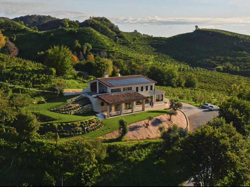 Valdobbiadene: Prosecco tasting with winery & vineyard tour - Walking through Vigneto Giardino