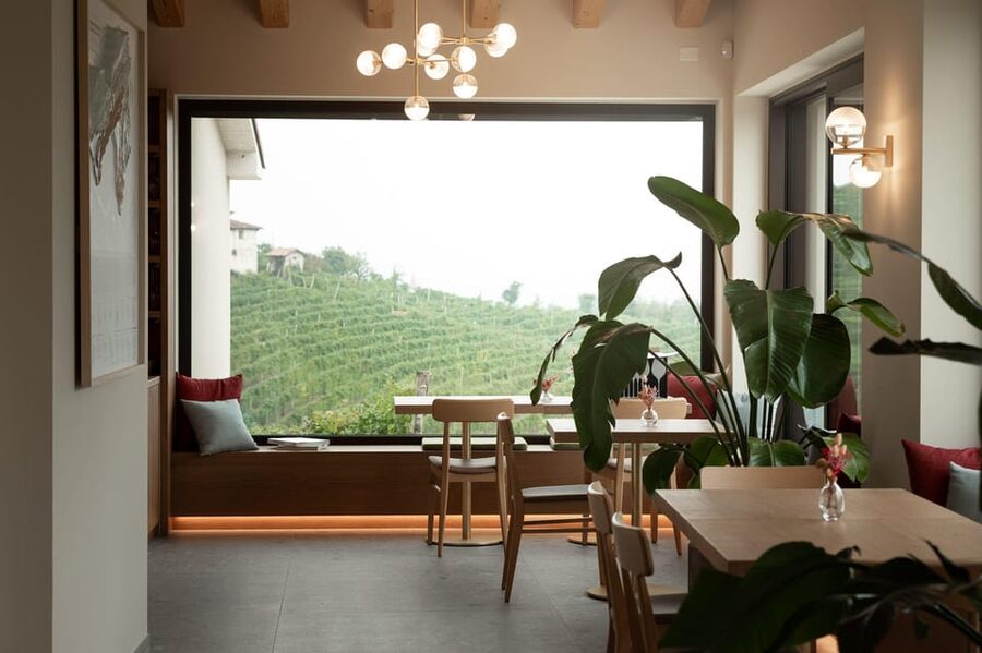 Valdobbiadene: Prosecco tasting with winery & vineyard tour - Timing, group size, and language