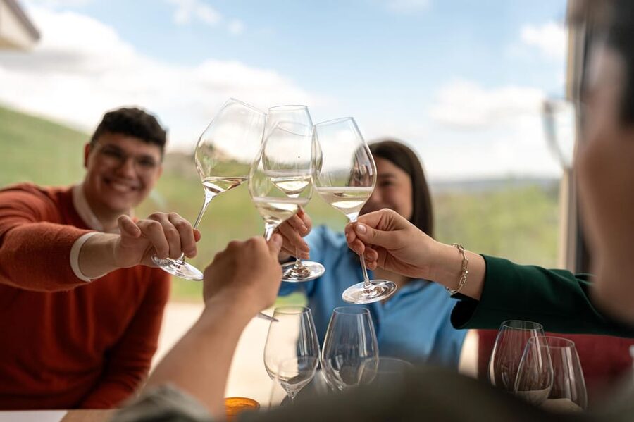 Valdobbiadene: Prosecco tasting with winery & vineyard tour - Starting with Prosecco DOC and Valdobbiadene DOCG