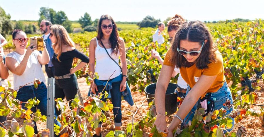 Valencia: Premium Wine Tasting & 3-Course Gastronomic Lunch - Inside the cellar with a red wine and local bites