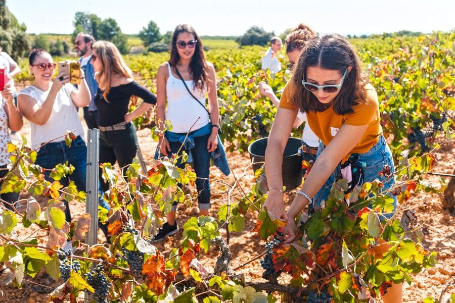 Valencia: Premium Wine Tasting & 3-Course Gastronomic Lunch - Lunch at Gastrovino 8 Encinas