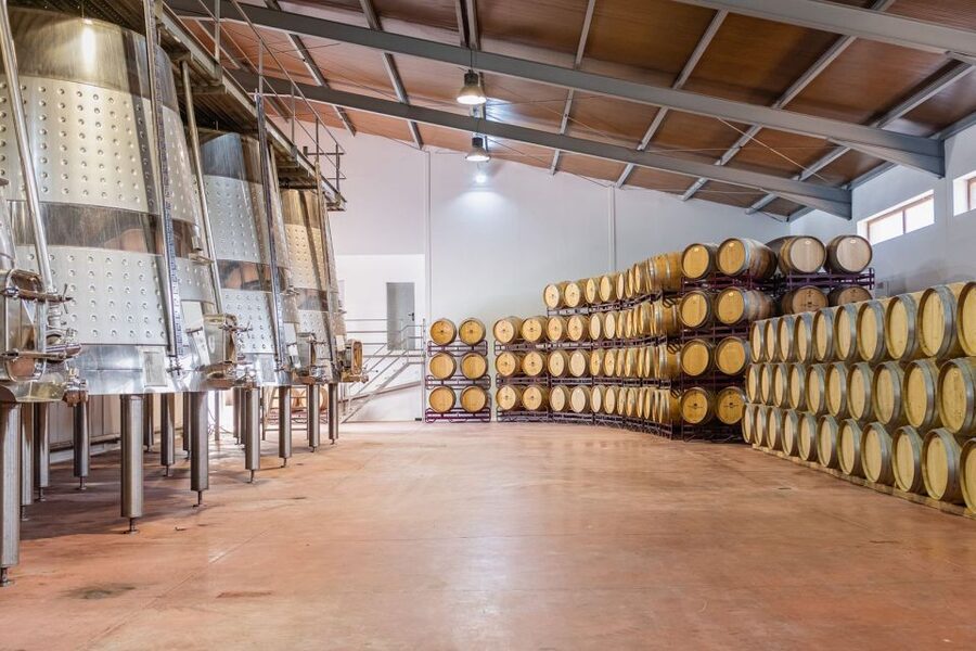 Valencia: Premium Wine Tasting & 3-Course Gastronomic Lunch - What the $109 price really covers