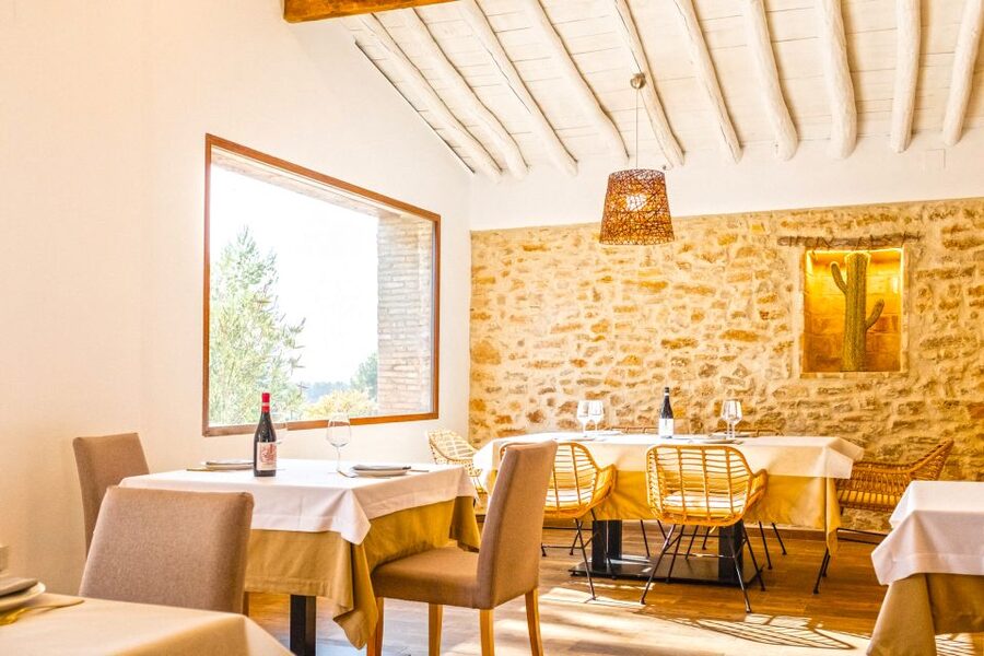 Valencia: Premium Wine Tasting & 3-Course Gastronomic Lunch - Who will enjoy this Valencia wine experience