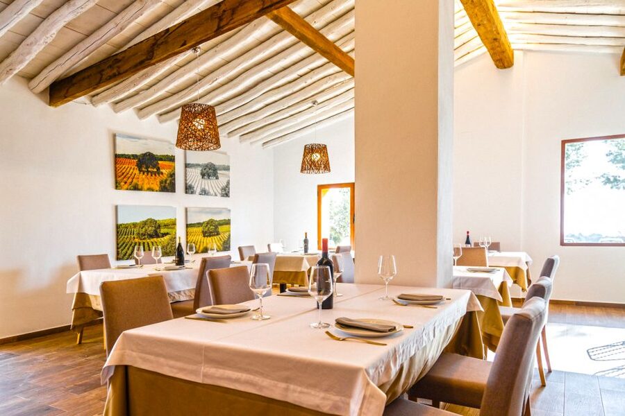 Valencia: Premium Wine Tasting & 3-Course Gastronomic Lunch - FAQ