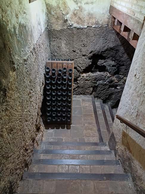 Valencia: Vineyard Tour, Local Wine, Cava Tasting & Snacks - Comfort, clothing, and access