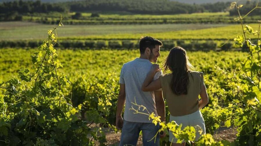 Valencia: Vineyard Tour, Local Wine, Cava Tasting & Snacks - From grapevine to cellar in 1.5 to 2 hours