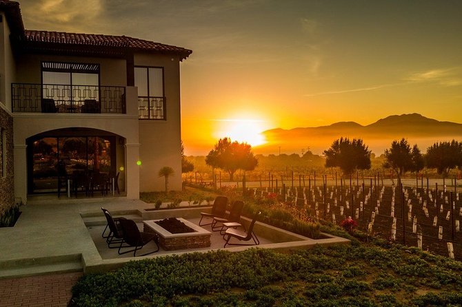 Valle de Guadalupe Premium Wine and Vineyard Wagon Tour - A wagon ride through Valle de Guadalupe