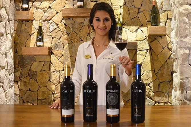 Valle de Guadalupe Premium Wine and Vineyard Wagon Tour - What the $79 price really includes