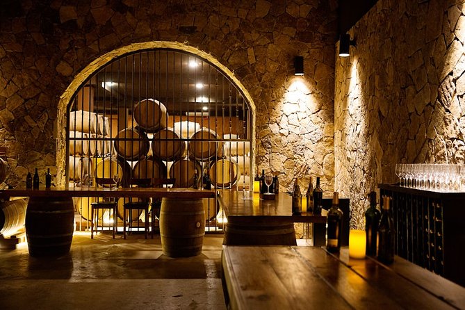 Valle de Guadalupe Premium Wine and Vineyard Wagon Tour - Who will enjoy this tour most