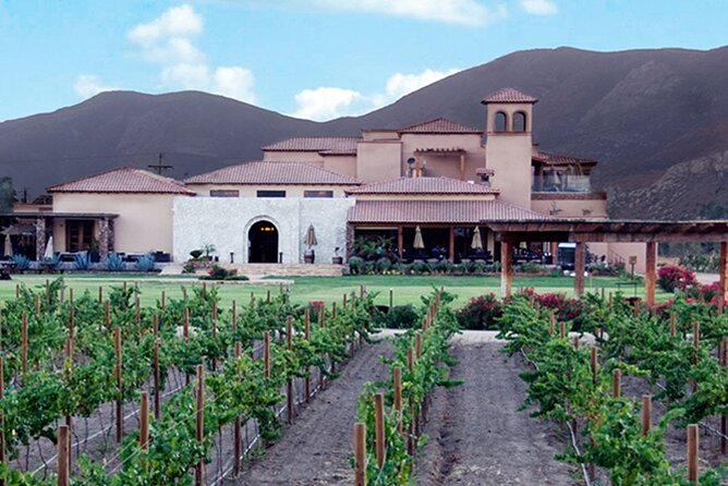 Valle de Guadalupe Premium Wine and Vineyard Wagon Tour - Booking, cancellation, and final checks