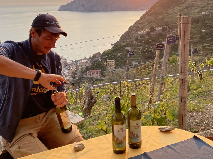 Vernazza: Panoramic Vineyard Trekking Tour w/ Wine Tasting - Key points to know before booking