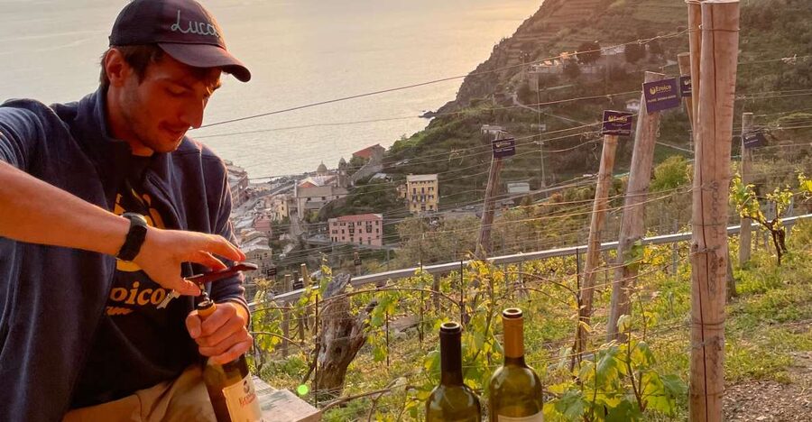 Vernazza: Panoramic Vineyard Trekking Tour w/ Wine Tasting - From Cinque Sensi bar to the hillside vines