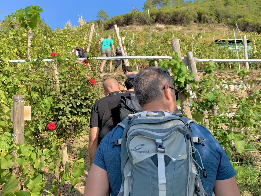 Vernazza: Panoramic Vineyard Trekking Tour w/ Wine Tasting - Three wines and a table of local snacks
