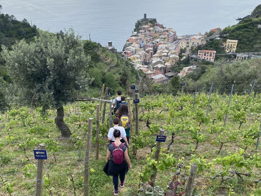 Vernazza: Panoramic Vineyard Trekking Tour w/ Wine Tasting - Why the Vernazza view matters