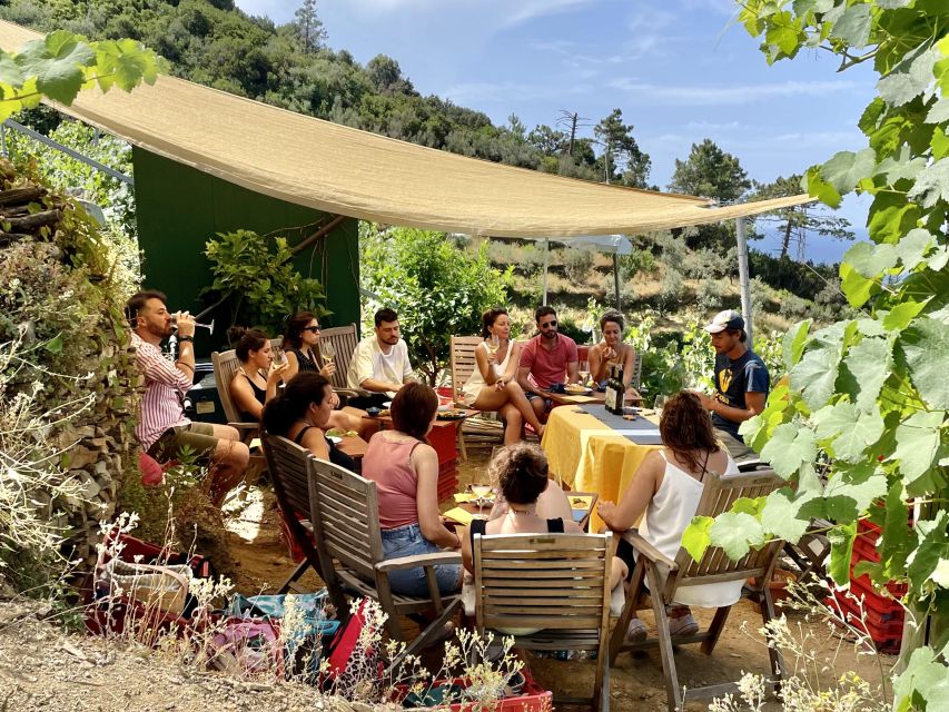Vernazza: Panoramic Vineyard Trekking Tour w/ Wine Tasting - What happens in poor weather