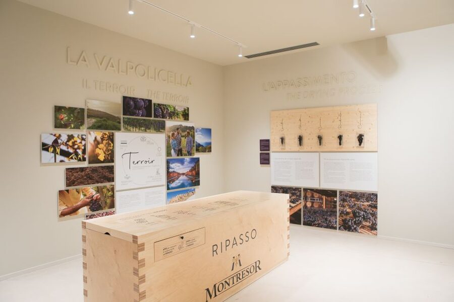 Verona: Montresor Winery Visit with Wine Tasting and Snacks - Key points at a glance