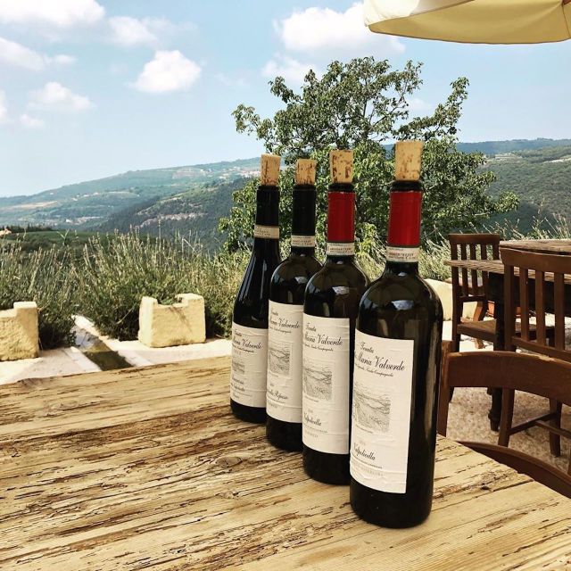 Verona: Vineyard and Winery Tour with Wine Tasting - The terrace meal is part of the experience