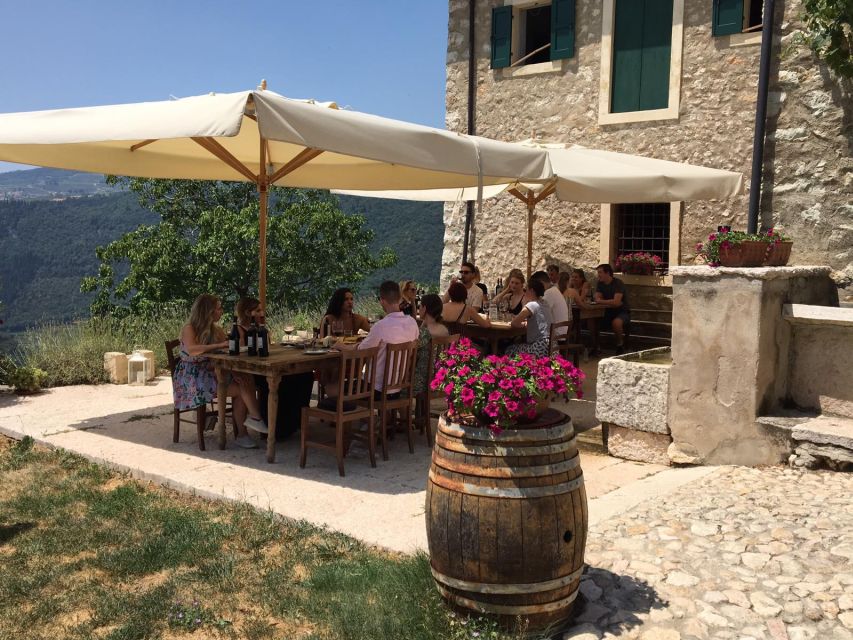 Verona: Vineyard and Winery Tour with Wine Tasting - Starting in the vineyard