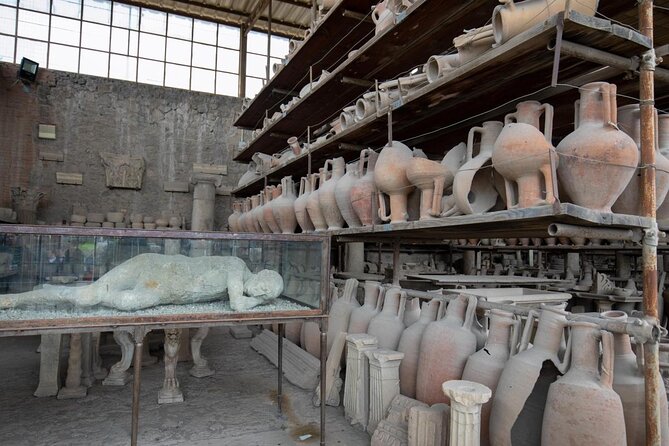 Vesuvius, Pompeii Ruins, experience vineyards and the winery tour with lunch. - Key points to know before booking