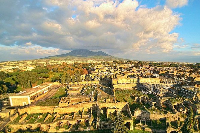 Vesuvius, Pompeii Ruins, experience vineyards and the winery tour with lunch. - One day, three very different sides of Vesuvius