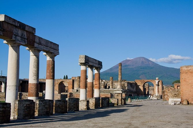 Vesuvius, Pompeii Ruins, experience vineyards and the winery tour with lunch. - Pompeii with at least two hours inside the ruins