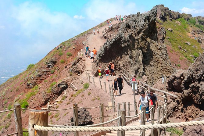 Vesuvius & Vineyard select from Sorrento - Who should book this Vesuvius tour