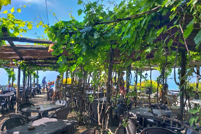 Vesuvius & Vineyard select from Sorrento - Should you book it?