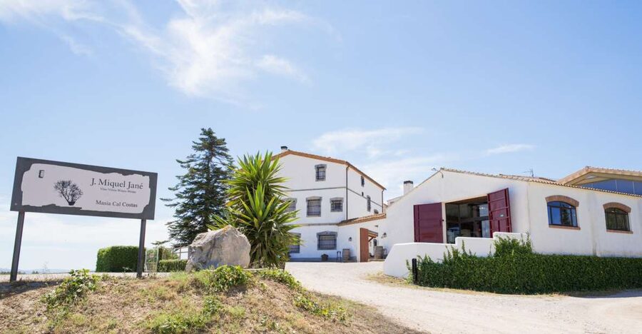Vilafranca del Penedès: Winery Visit with Tastings - Key points to know