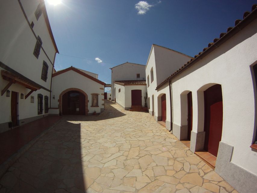 Vilafranca del Penedès: Winery Visit with Tastings - Language and guide expectations