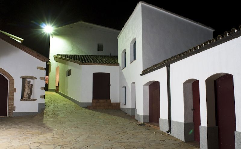 Vilafranca del Penedès: Winery Visit with Tastings - Who will like this winery visit