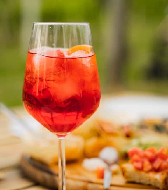 Vinci:Discovering Leonardo's Origins & Aperitif in Vineyards - Who will get the most from this experience