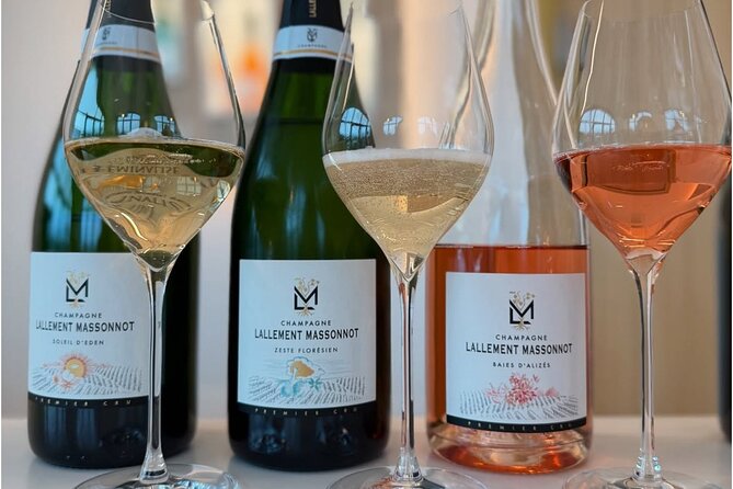 Vineyard and Triple Tasting First Cru in the Mountains of Reims - Key points to know before you book