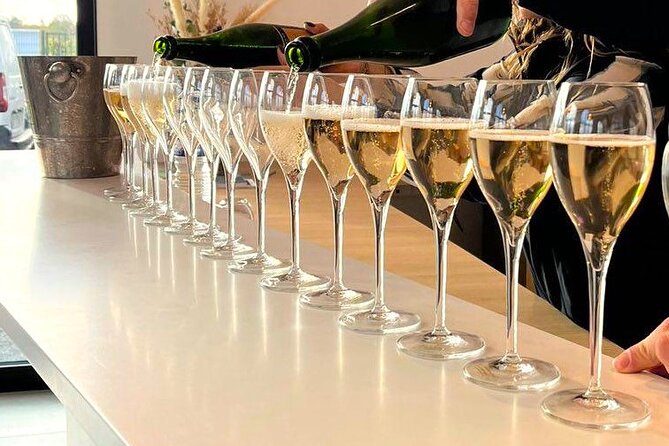 Vineyard and Triple Tasting First Cru in the Mountains of Reims - Who will get the most from this Champagne visit?