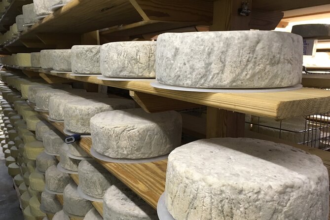 Vineyard & Cheesemaker Bus Tour of Sussex - High Weald Dairy turns lunch into the main event