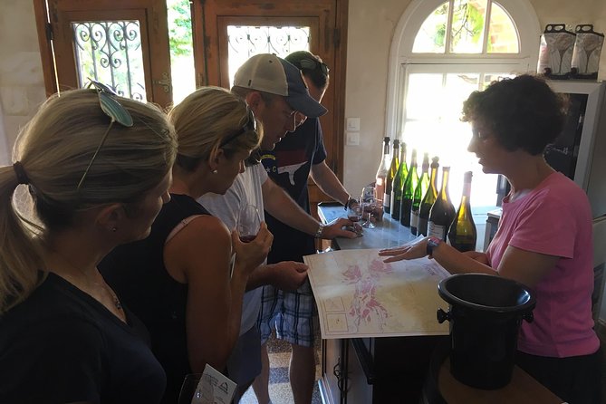 Vineyard cycle tours in and around Chinon, in the Loire Valley - Key points at a glance