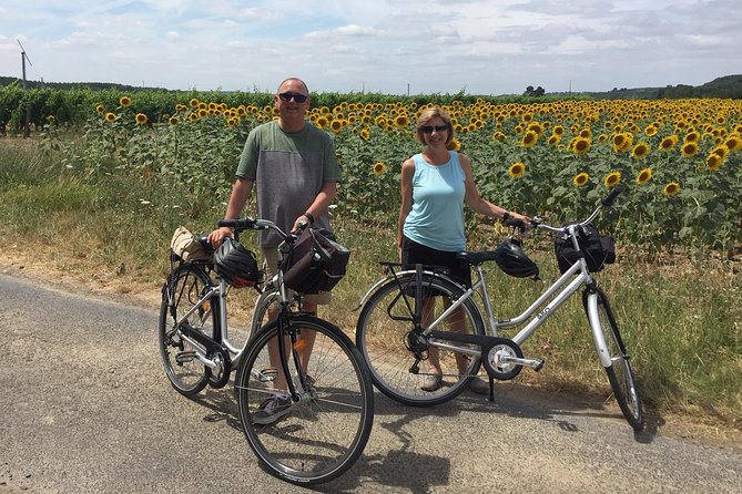Vineyard cycle tours in and around Chinon, in the Loire Valley - Winery visits, caves, and Chinon wine