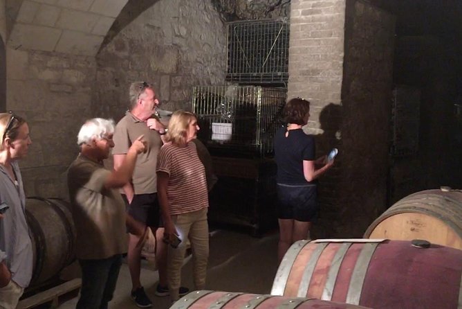 Vineyard cycle tours in and around Chinon, in the Loire Valley - The guide can shape the day