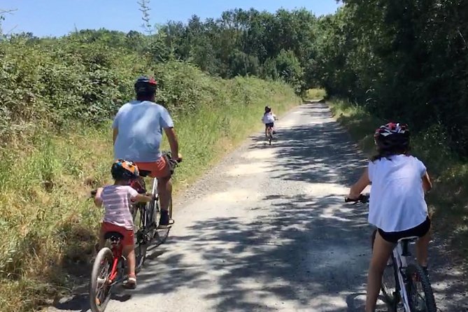 Vineyard cycle tours in and around Chinon, in the Loire Valley - Who should book this ride