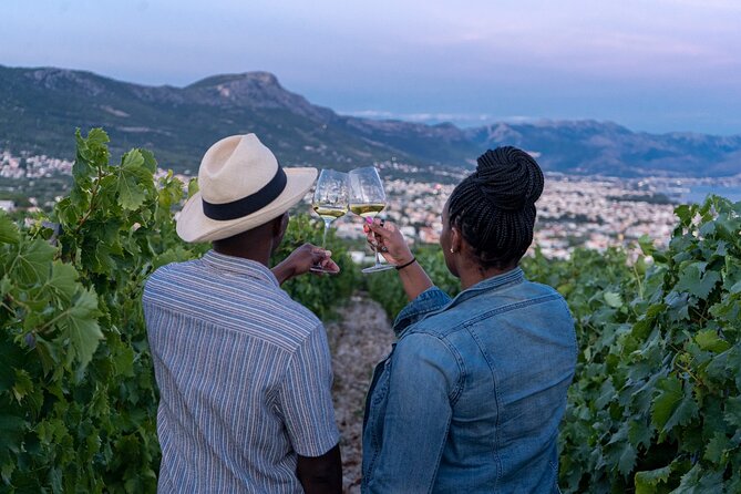 Vineyard Experience: Wine Tasting near Split - Key points at a glance