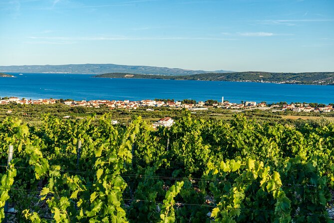 Vineyard Experience: Wine Tasting near Split - Five Dalmatian wines with a proper local snack plate