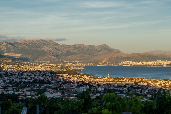 Vineyard Experience: Wine Tasting near Split - Is $143.20 a fair price?