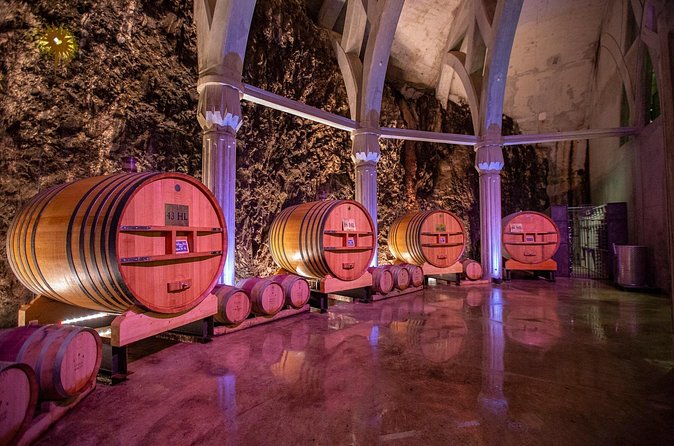 Vineyard of the Alpilles by bike - Who Will Enjoy This Saint-Rémy Cycling Tour