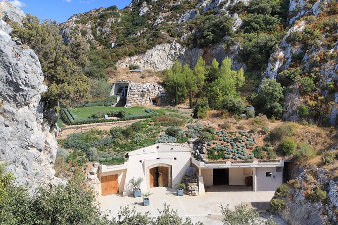 Vineyard of the Alpilles by bike - Should You Book It?