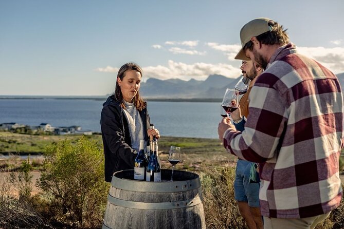 Vineyard Safari and Wine Tasting in Hermanus with Guide - The olive groves and Koggelberg setting