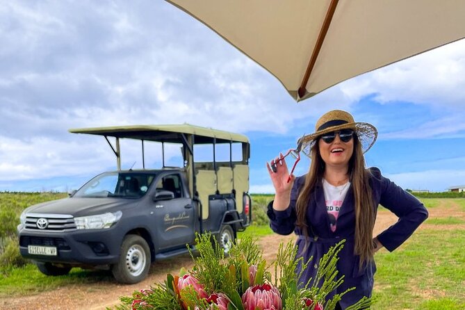 Vineyard Safari and Wine Tasting in Hermanus with Guide - How the price compares with the experience